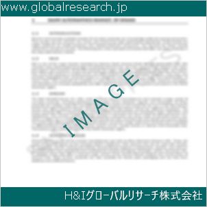 グローバルリサーチ調査資料のイメージ